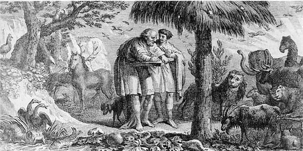 Εικόνα επιλογής